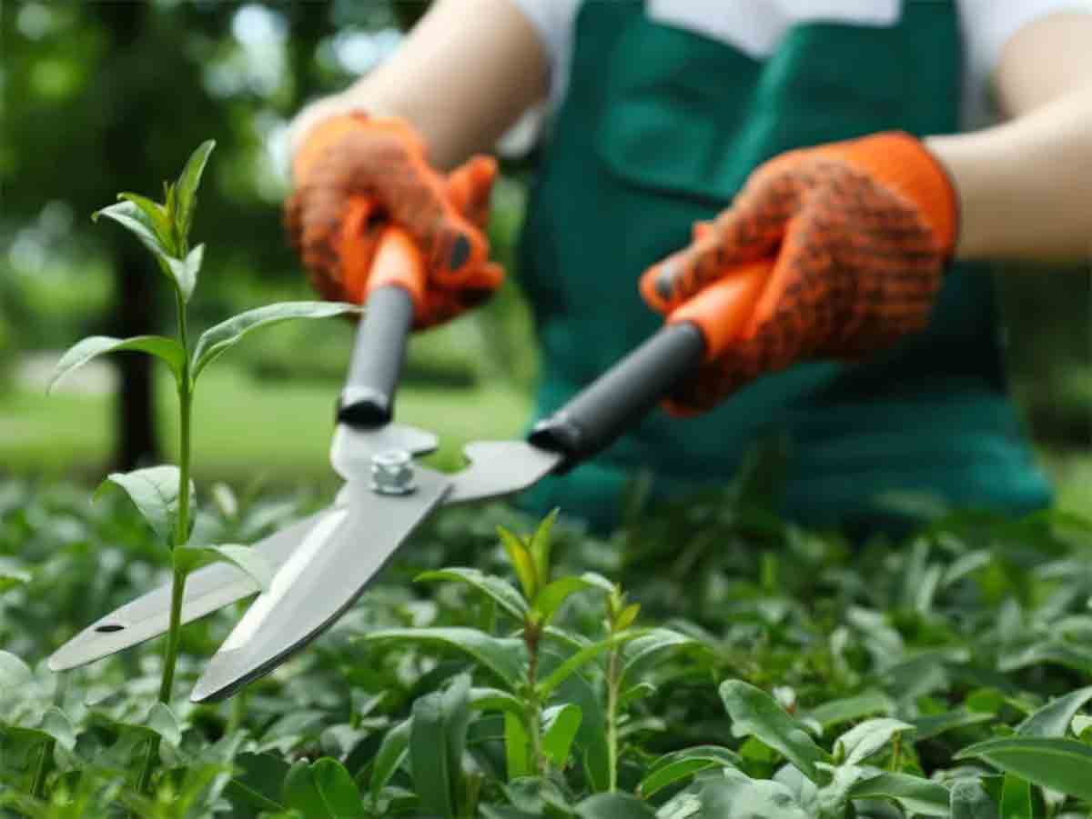 H-Profitez-du-jardinage